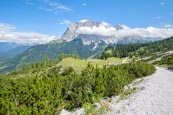 Thumbnail image of view from the Seebenalm to the Zugspitze mountain range, Ehrwald, Tyrol, Austria