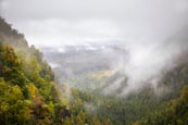 Misty View In The Bohemian Switzerland National Park Ceske Svycarsko Near Mezni Louka, Usti Nad Labe