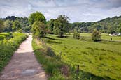 Thumbnail image of Cromford Canal and meadows, Derbyshire, England