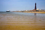 Blackpool Beach & Tower