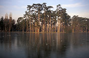 Thumbnail image of Bois de Boulogne, Lac Inferieur, Paris