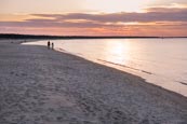 Thumbnail image of Beach in Prerow, Darss, Mecklenburg-Vorpommern, Germany