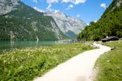 Thumbnail image of Footpath leading to the Salet landing stage on the Königssee Lake, Upper Bavaria, Bavaria, Germany, 