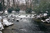 Englischer Garten Munich images