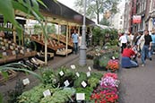 Bloemenmarkt, Amsterdam images
