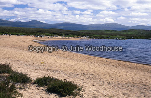 Loch Laidon
