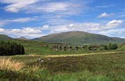 Thumbnail image of Towards Sgor Gaithie, Rannoch Moor, Scotland