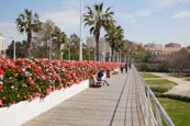 Puente De Las Flores - Flower Bridge Over The Park Jardin Del Turia, Valencia, Spain