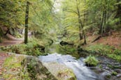 Thumbnail image of Edmund Gorge on the Kamenice River, Hrensko, Usti nad Labem, Czech Republic