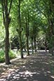 Thumbnail image of Andresey Island, Burton on Trent, Staffordshire