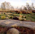 Thumbnail image of Gardoms Edge, Rock Art, Derbyshire