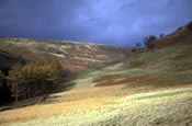 Howden Moor, Cold Side, Derbyshire