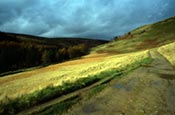 Howden Moor, Cold Side, Derbyshire