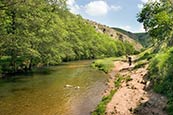 Dovedale Near Ashbourne, Derbyshire