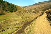 Thumbnail image of Grindsbrook path to Kinder, Derbyshire