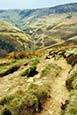 Thumbnail image of Kinder, Derbyshire, England