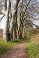 Thumbnail image of Tideswell Dale, Derbyshire