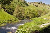 Thumbnail image of Dovedale near Ashbourne, Derbyshire