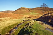 Howden Moor, View Towards Littlemoor, Derbyshire
