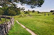 Thumbnail image of Solomons Temple, Buxton