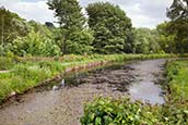 Thumbnail image of Cromford Canal, Derbyshire, England