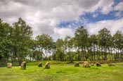 Nine Ladies Stone Circle, Stanton Moor, Derbyshire, England