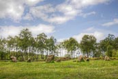 Nine Ladies Stone Circle, Stanton Moor, Derbyshire, England
