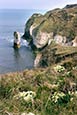 Thumbnail image of Flamborough Head, East Riding of Yorkshire