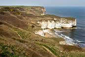 Thumbnail image of Flamborough Head, East Riding of Yorkshire