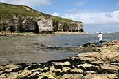 Thumbnail image of North Landing, Flamborough, East Yorkshire