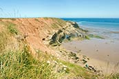 Thumbnail image of Filey Brigg, North Yorkshire