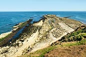 Thumbnail image of Filey Brigg, North Yorkshire