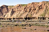 Thumbnail image of Filey Brigg, North Yorkshire