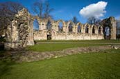 Thumbnail image of Ruins to St.Mary