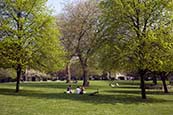 Thumbnail image of York Minster Gardens, York