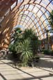 Thumbnail image of The Winter Garden, Sheffield