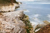 Thumbnail image of Coastline viewed from Thornwick Bay, Flamborough, Bridlington, Yorkshire, England