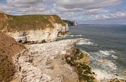 Thumbnail image of Coastline viewed from Thornwick Bay, Flamborough, Bridlington, Yorkshire, England