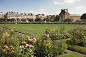 Jardin Des Tuileries & The Louvre ,  Paris