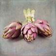 Thumbnail image of Globe artichokes on a textured background