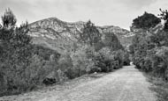 Footpath In The La Murta Valley Leading To Santa Maria De La Murta Monastery Near Alzira, Valencia, 