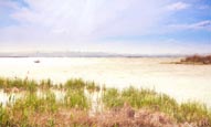 Thumbnail image of Lagoon at Albufera Natural Park, Valencia, Spain
