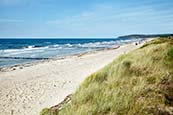 Thumbnail image of Western Beach near Vitte, Hiddensee, Mecklenburg Vorpommern, Germany
