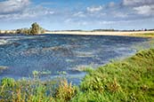 Kap Arkona Viewed Over Landscape Near Putgarten, Ruegen, Mecklenburg Vorpommern, Germany