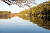 Prerower Strom, Prerow, Darss, Mecklenburg-Vorpommern, Germany