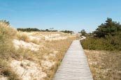 Thumbnail image of boardwalk at Darßer Ort near Prerow,, Darss, Mecklenburg-Vorpommern, Germany