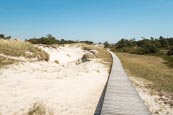 Thumbnail image of boardwalk at Darßer Ort near Prerow,, Darss, Mecklenburg-Vorpommern, Germany