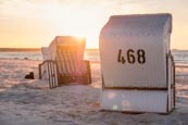 Thumbnail image of Beach chairs on the beach of Prerow, Baltic Sea, Darss, Mecklenburg-Vorpommern, Germany