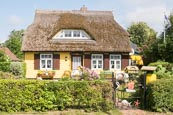 Thumbnail image of Typical thatched cottage and garden at Born auf dem Darss, Mecklenburg-Vorpommern, Germany