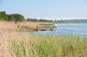 Barther Bodden Near Müggenburg, Zingst, Mecklenburg-Vorpommern, Germany